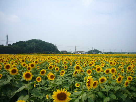 658274 (a): :1600x1200